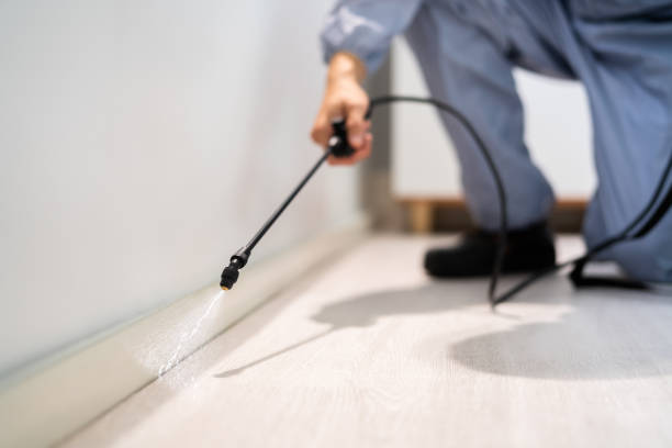 Licensed Fumigation Services service in Ama, LA - Nex Pest Control