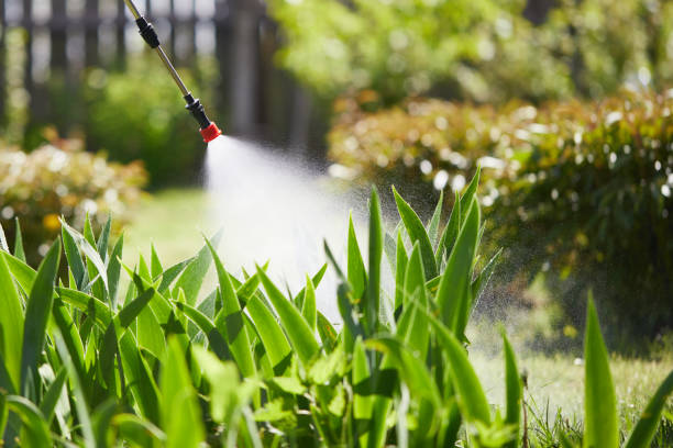 24/7 Emergency Fumigation Services experts in Ama, LA