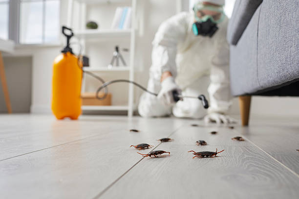 Affordable Fumigation Services solutions in Ama, LA