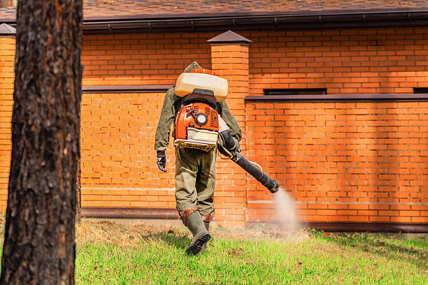 Top rated local Fumigation Services specialists in Ama, LA